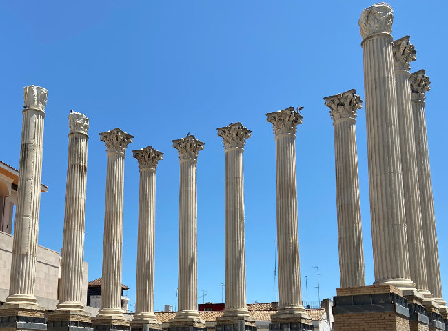 Columnas